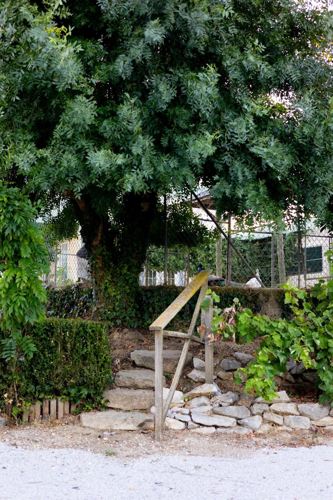 Kabaceira Village Atalaia  Bagian luar foto